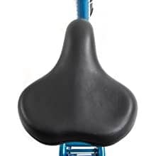 Over-sized Saddle-DWMEIGI MG708 - Urban Electric Tricycle - Street Rides