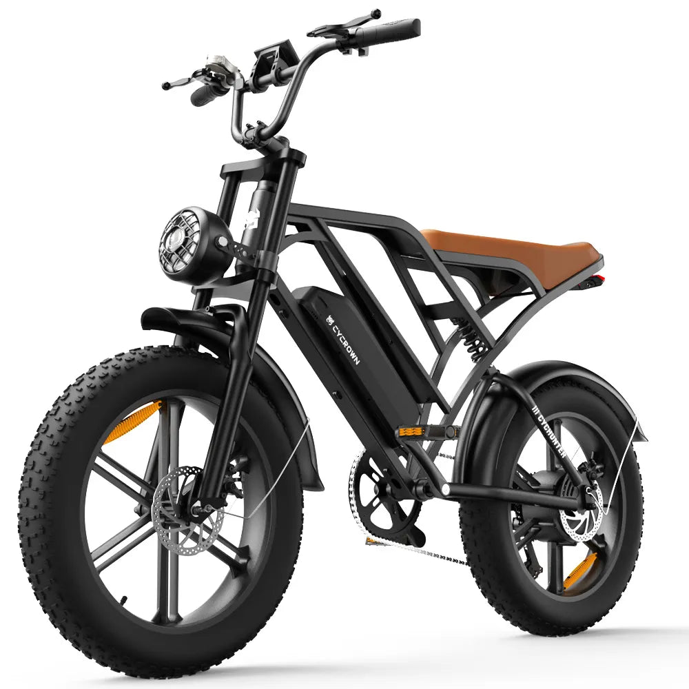 CycHunter vintage electric bike profile view