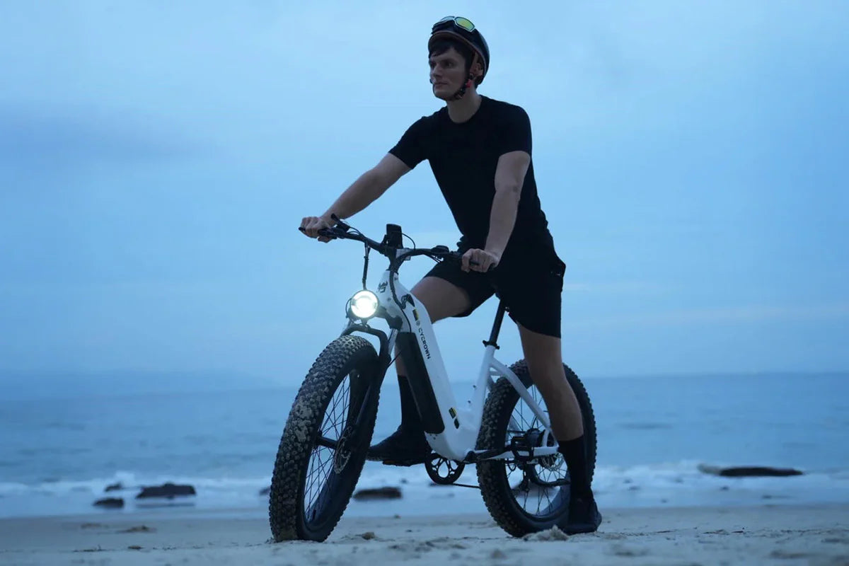CYCROWN CycVerve 1000W fat tire e-bike feature graphic