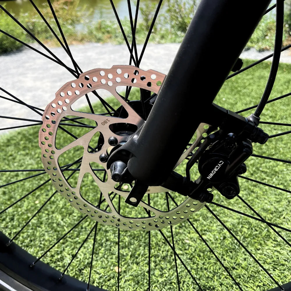 Cycrown Dremax eBike alternate side view