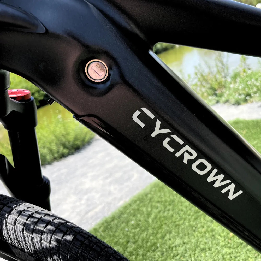 Cycrown Dremax eBike side view