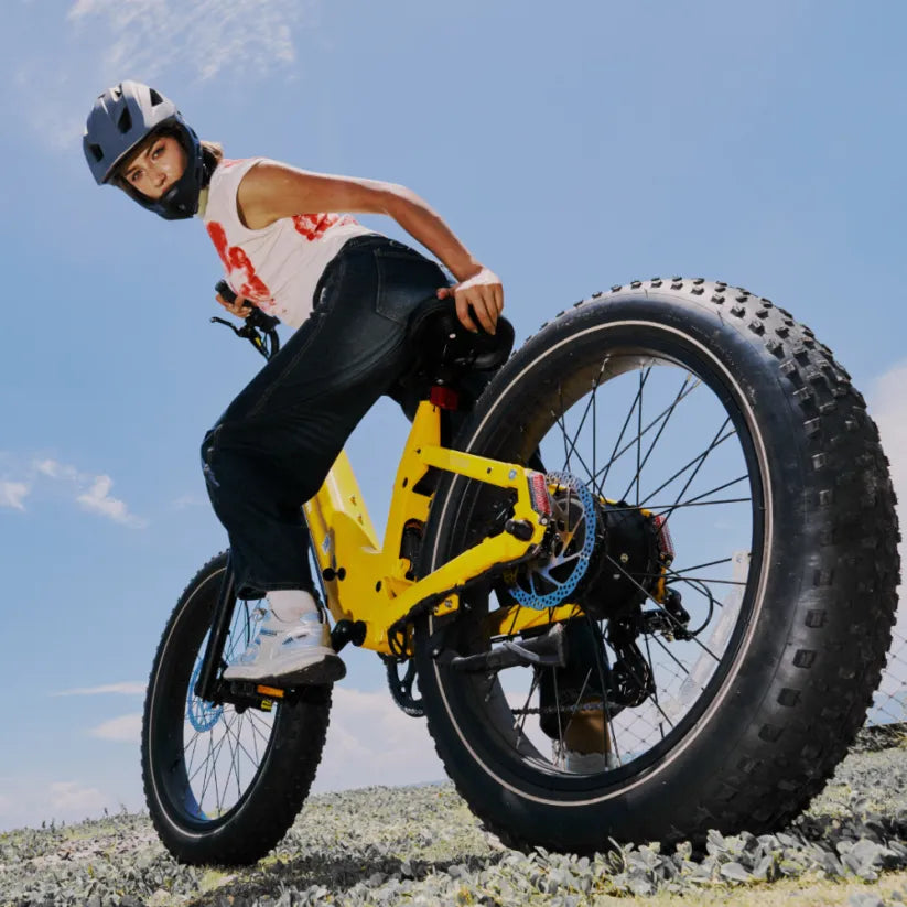 CYCROWN Roma all-terrain ebike feature graphic