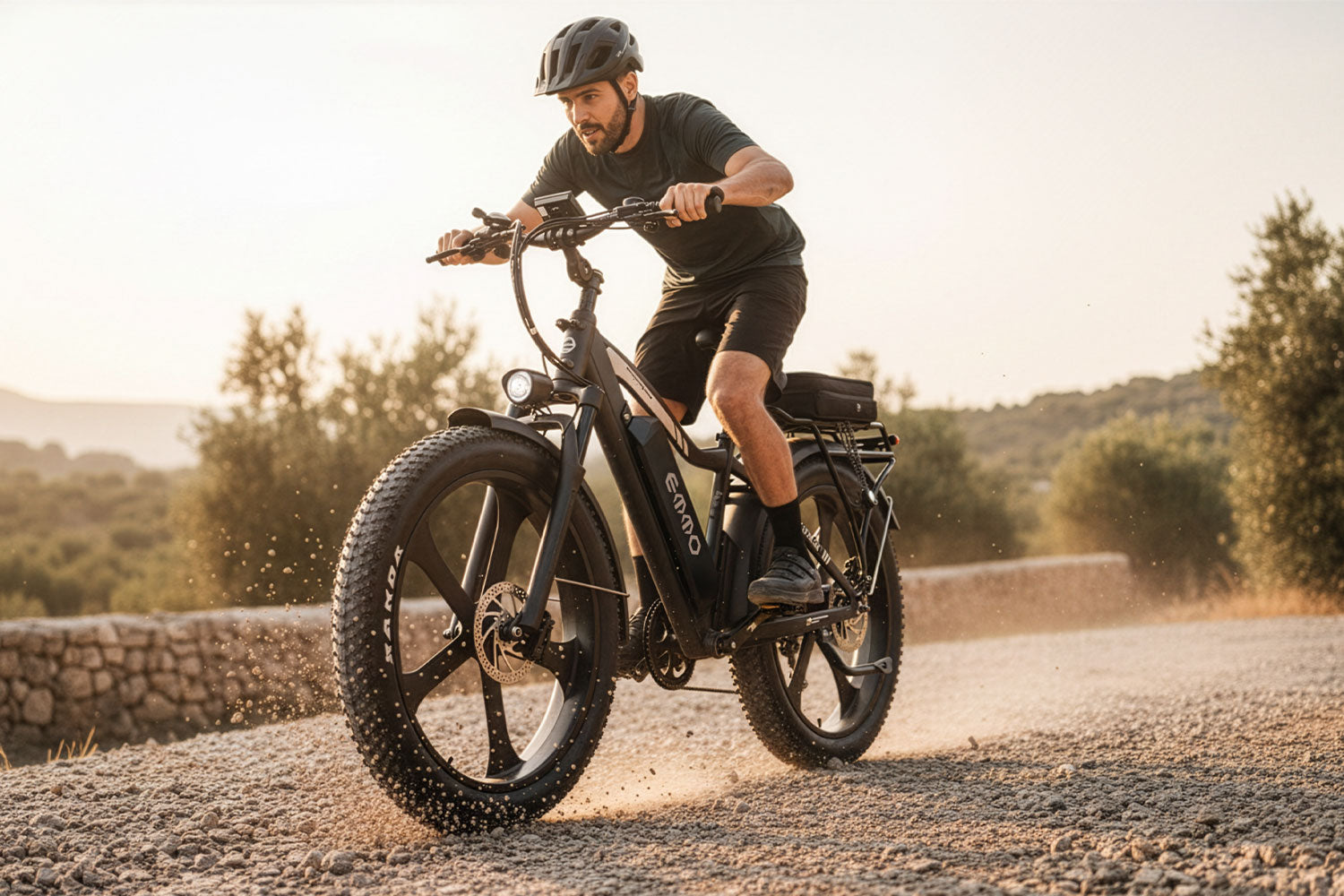 EMMO E-Wild Pro - official product image 2