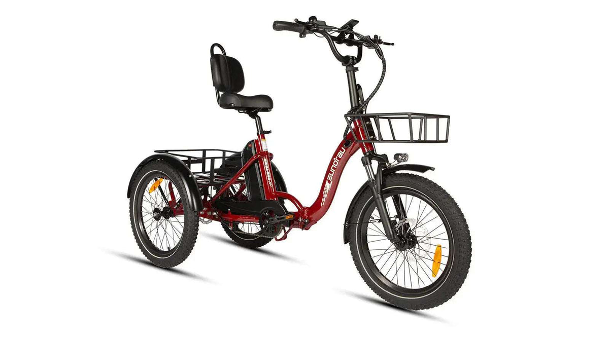 Battery compartment detail on the Eunorau One-Trike