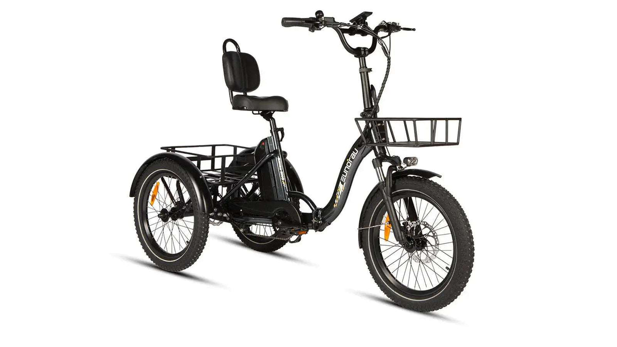 Rear carrier detail on the Eunorau One-Trike electric tricycle