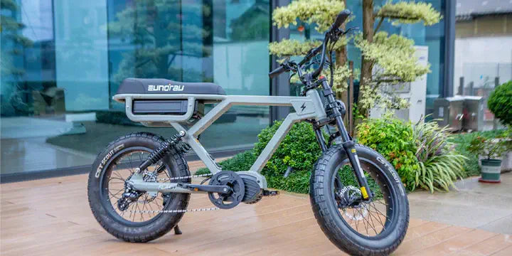 Eunorau Flash Commuter E-Bike - Street Rides