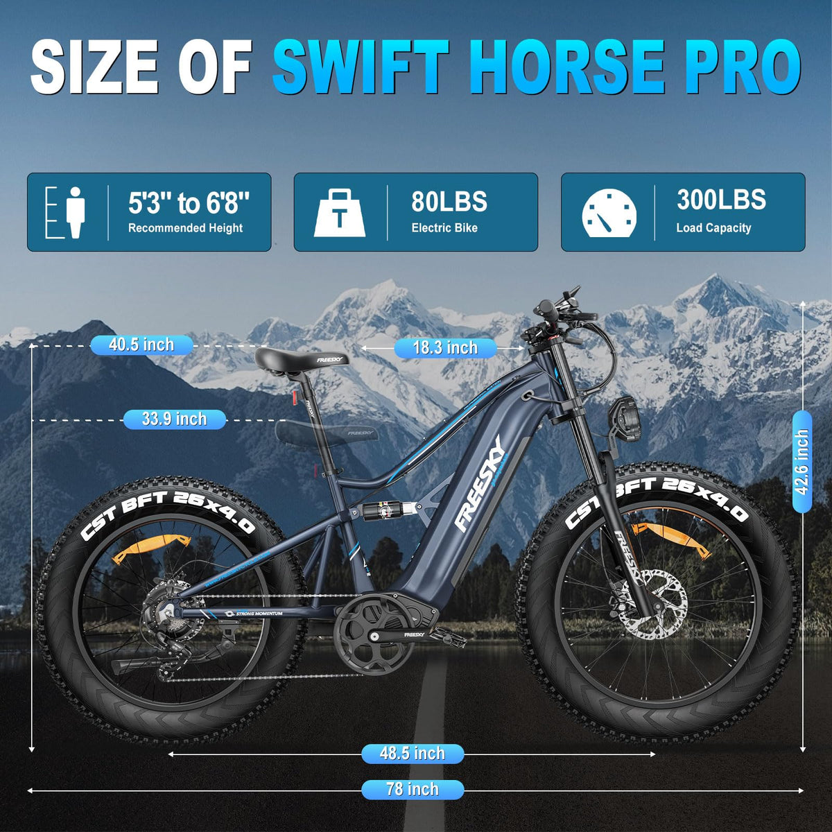 FREESKY Swift Horse Pro e-bike photo 39