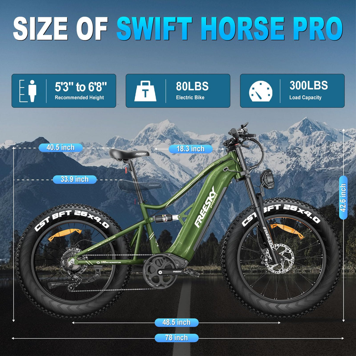 FREESKY Swift Horse Pro e-bike photo 87