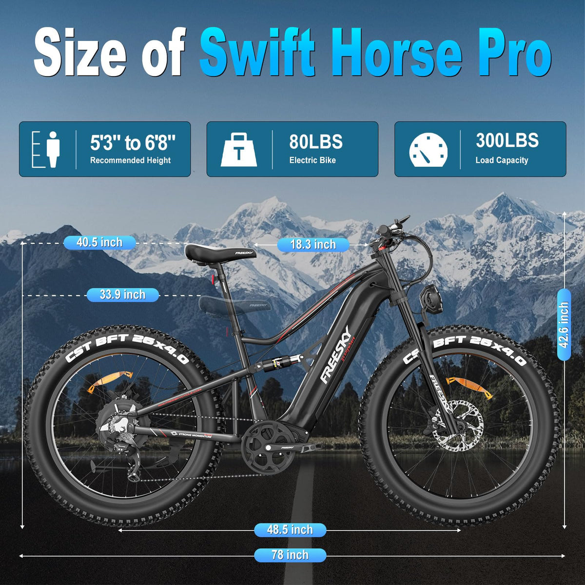 FREESKY Swift Horse Pro e-bike photo 95