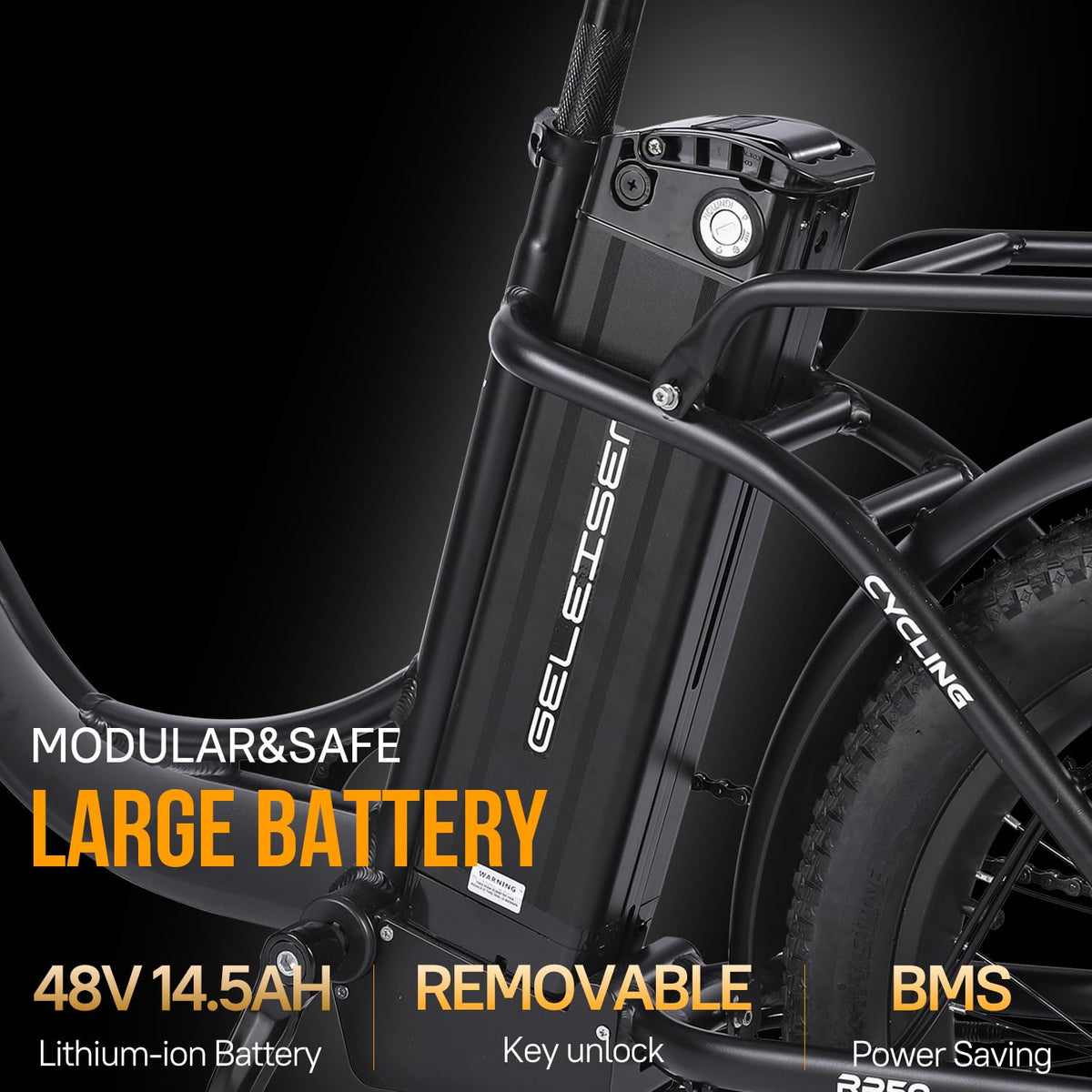 GELEISEN RP50 1000W Fat Tire E-Bike Canada image 13
