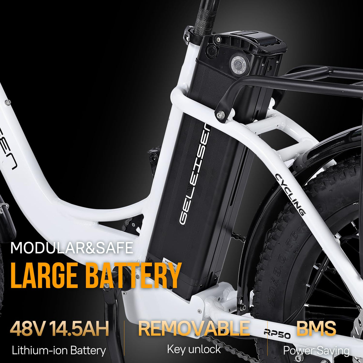 GELEISEN RP50 1000W Fat Tire E-Bike Canada image 24