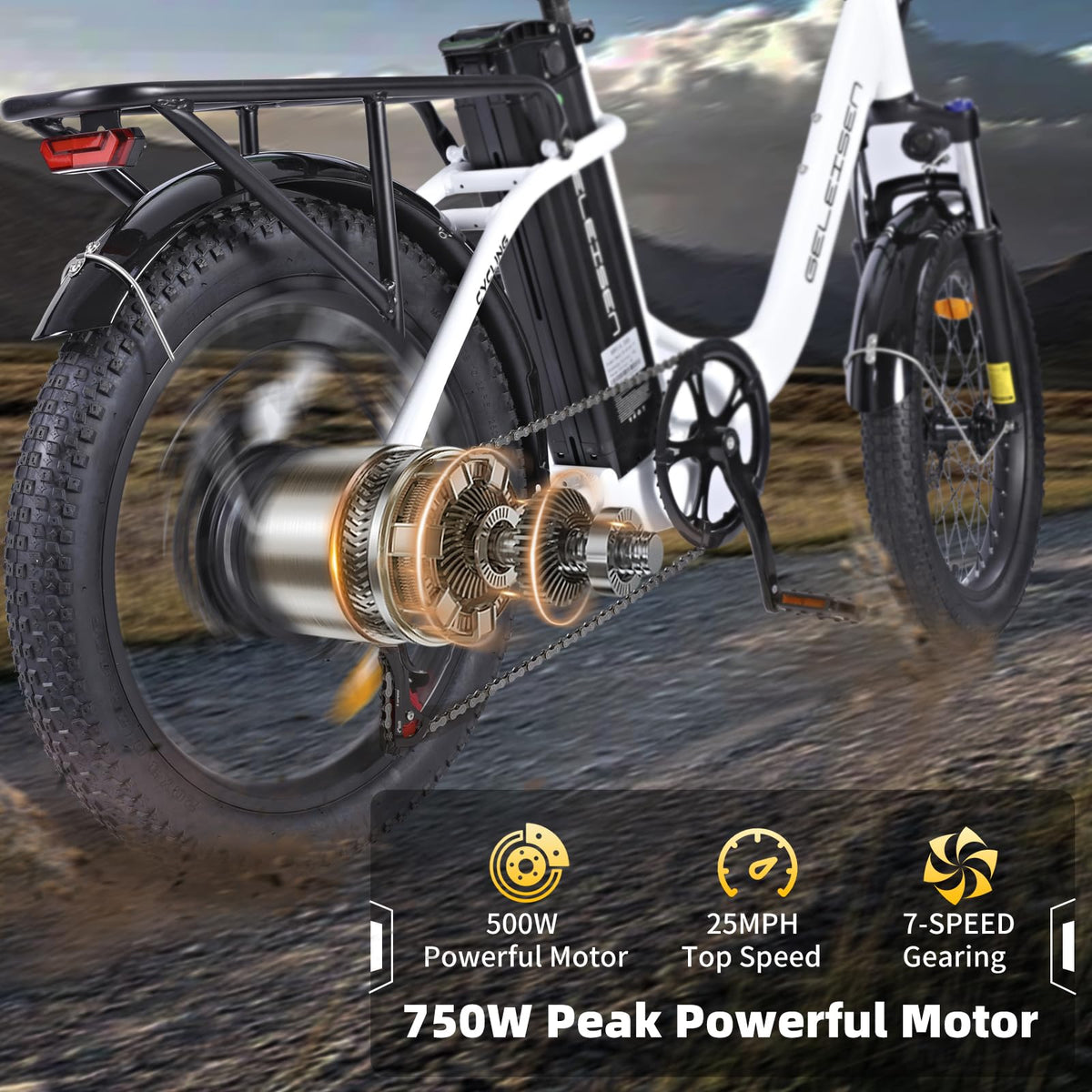 GELEISEN RP50 1000W Fat Tire E-Bike Canada image 25