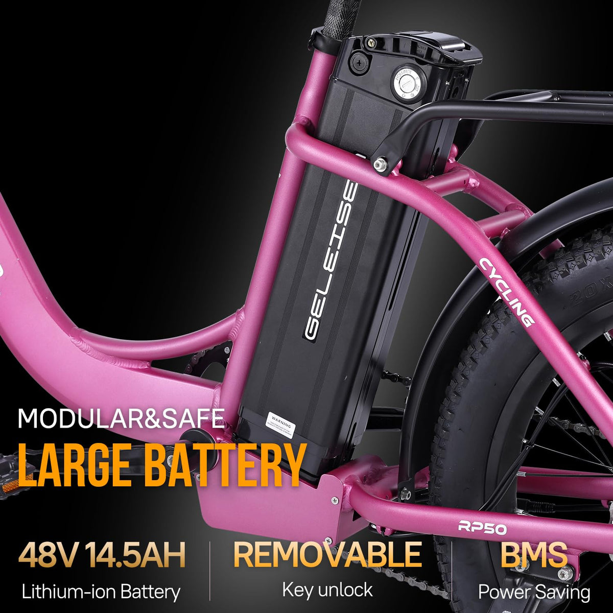GELEISEN RP50 1000W Fat Tire E-Bike Canada image 29