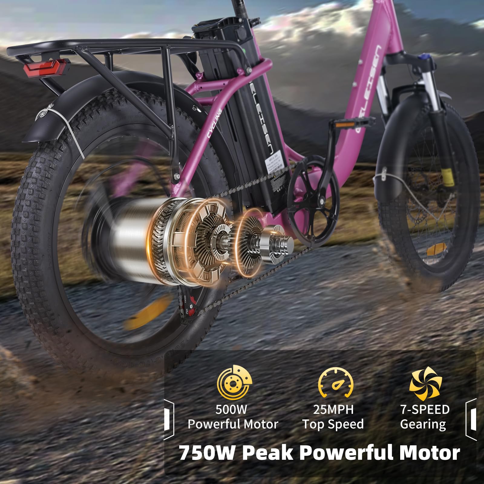 GELEISEN RP50 1000W Fat Tire E-Bike Canada image 30