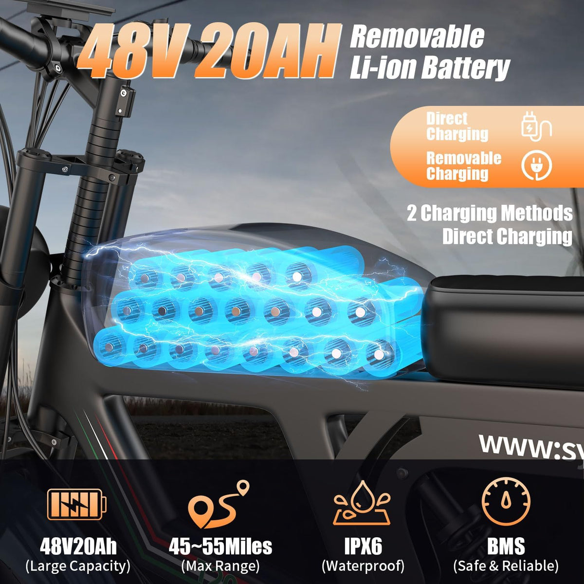 Holyask 750W display detail