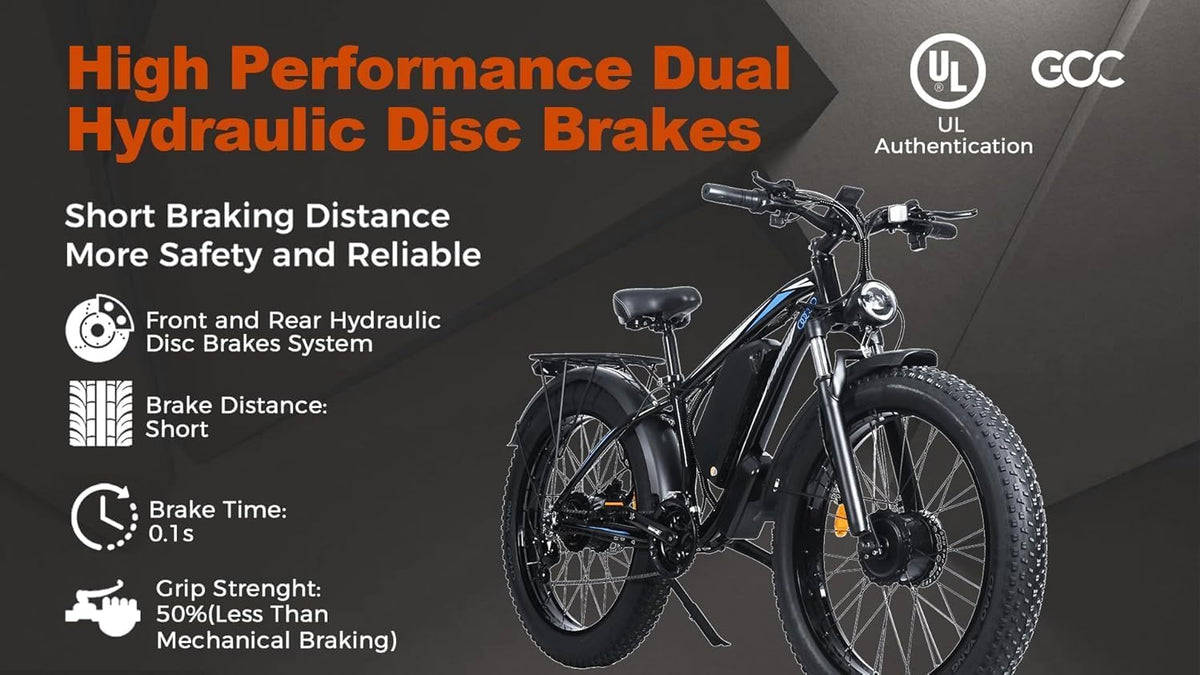 LONG SENG E68 dual motor electric bike Canada rear angle