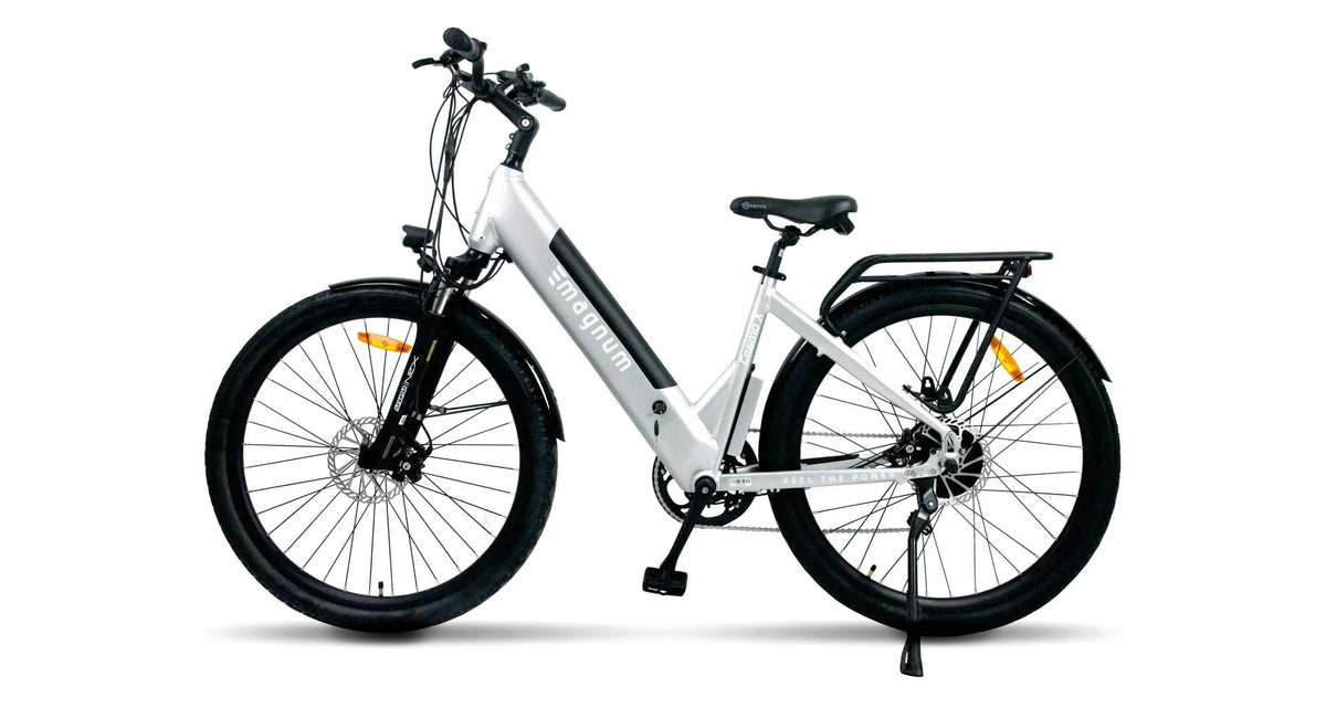 Magnum Cosmo S silver frame and cockpit detail