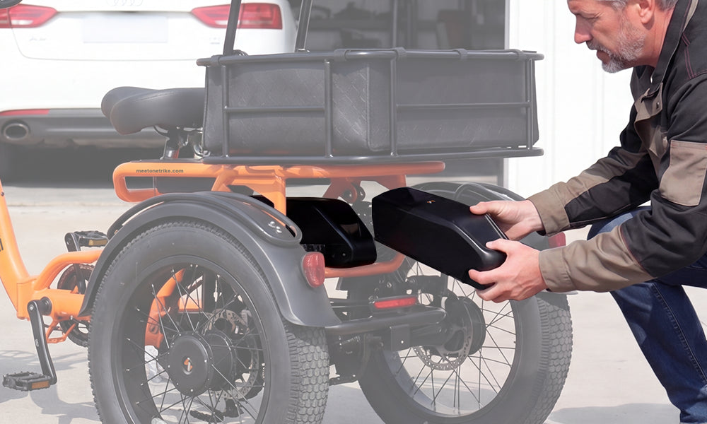 Meet One Breeze 2.0 Canada rear cargo basket and trike frame