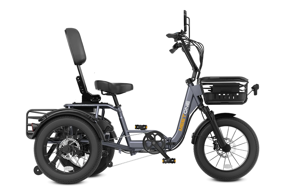 Meet One Breeze trike front angle