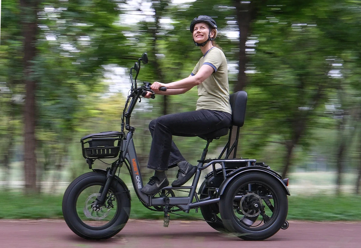 Meet One Breeze trike rear angle