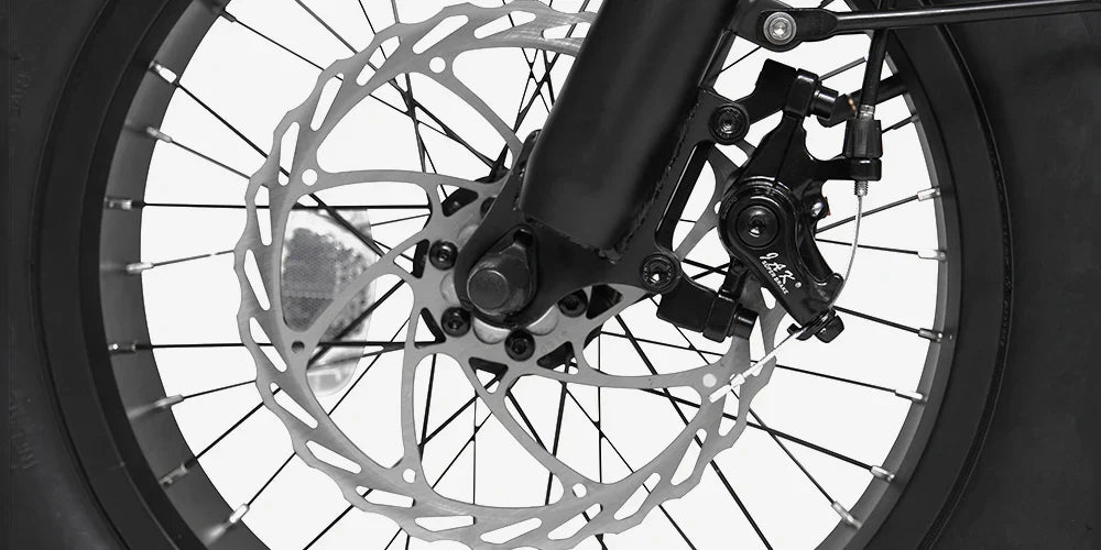 Meet One Breeze Pro Fat Tire Electric Trike 1.0