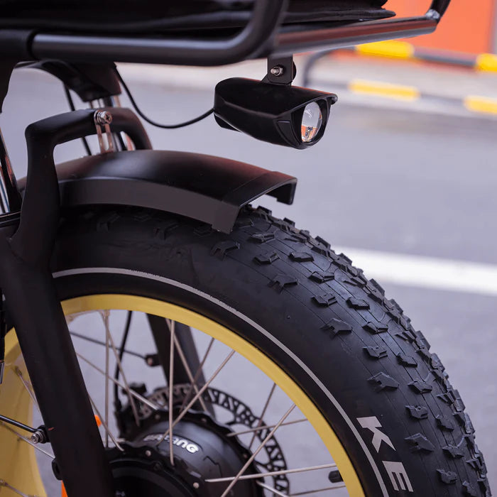 MG2301-SILVERADO-HD Fat Tire Electric Tricycle-Street Rides