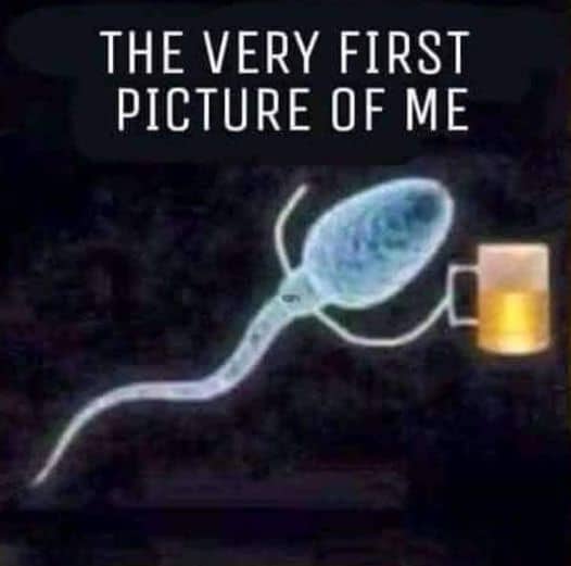 iScooter i12 Electric Scooter with Seat - Street Rides