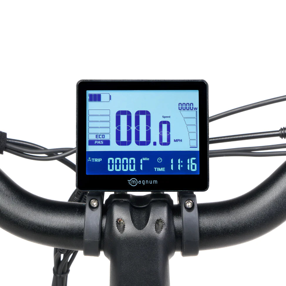 Custom Magnum LCD Display-Street Rides