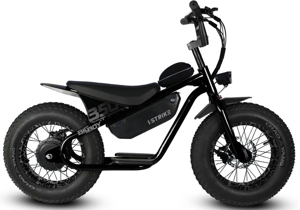 Throne Big Boy electric bike Canada main product view