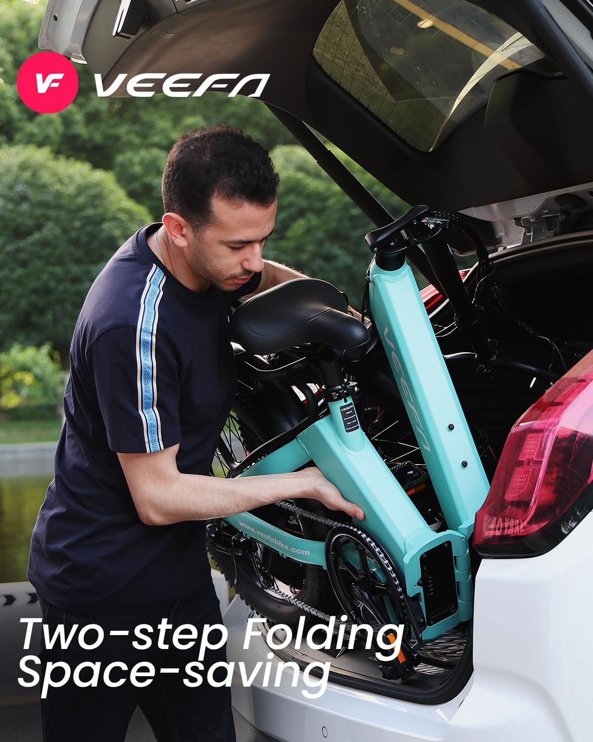 VEEFA F1 cockpit detail