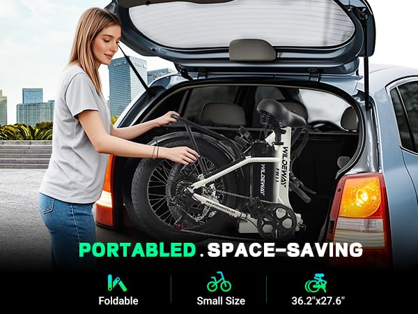 Wildeway FW11 Step-Thru Folding Fat Tire E-Bike Canada image 17