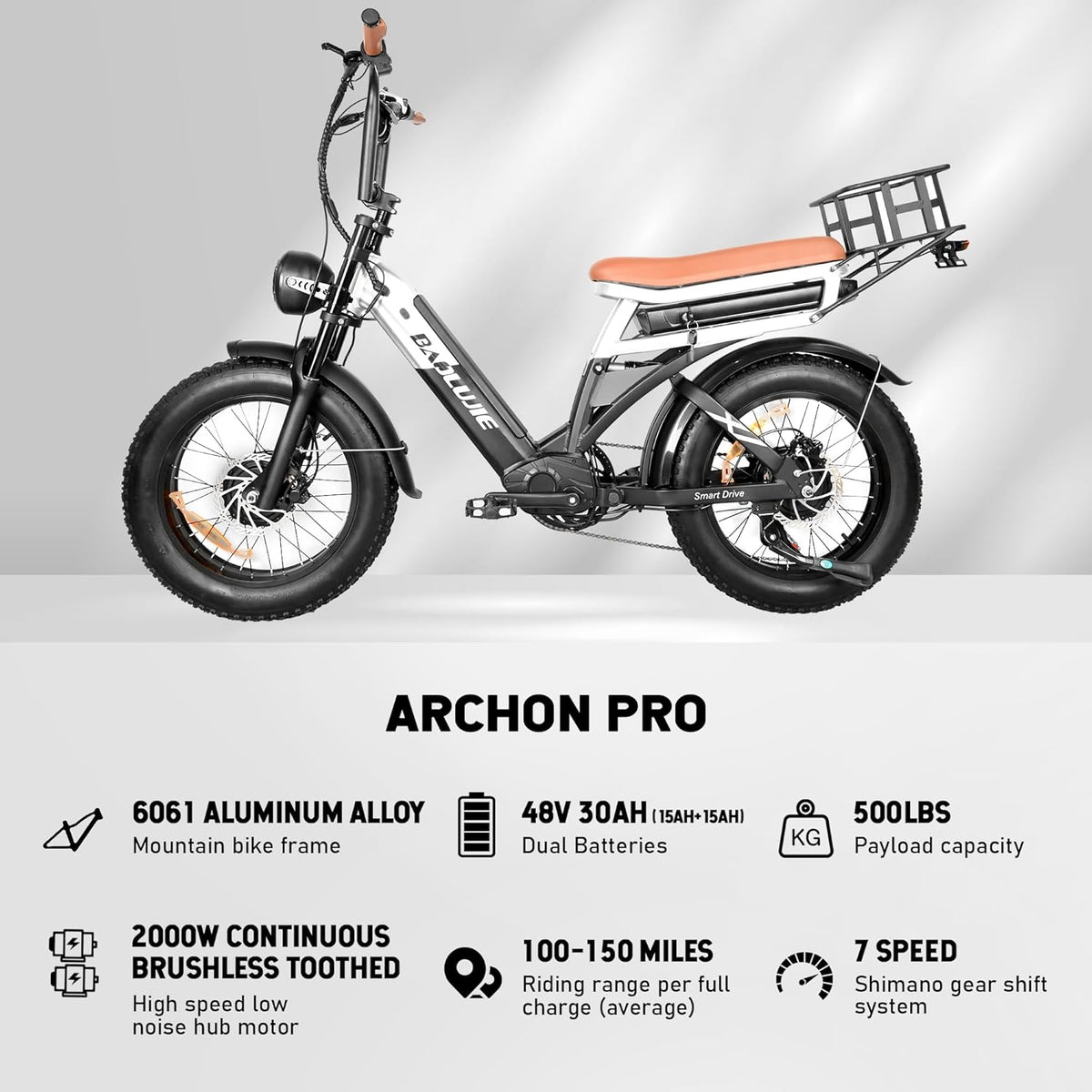 Xitumaoyi X2008 electric bike Canada rear angle
